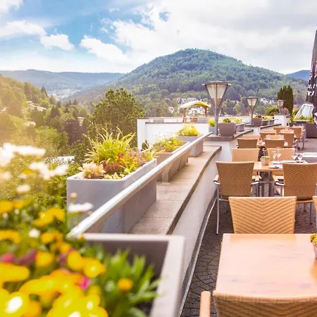 Hotel Schwarzwald Panorama 4*