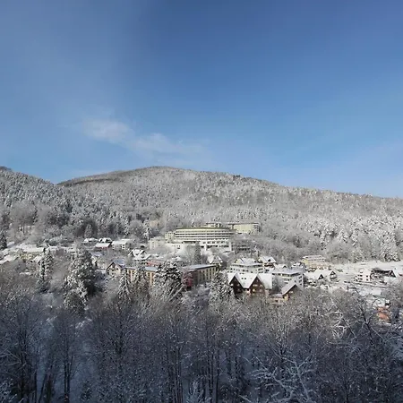 Otel Schwarzwald Panorama Bad Herrenalb