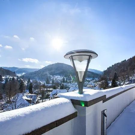 Hotel Schwarzwald Panorama 4*