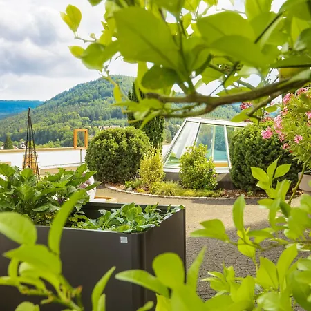 Schwarzwald Panorama Hotel 4*