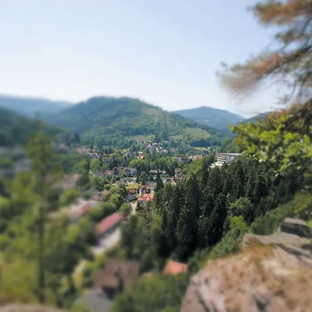 Schwarzwald Panorama 4* Bad Herrenalb