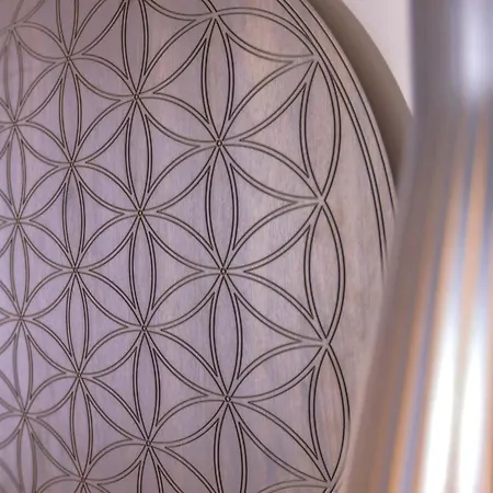 Schwarzwald Panorama Hotel 4*