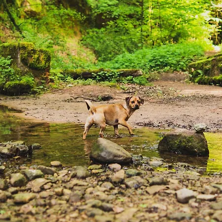 Schwarzwald Panorama 4*