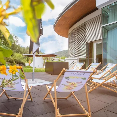 Otel Schwarzwald Panorama