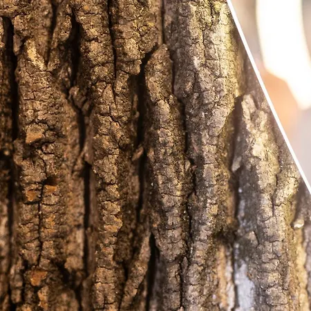 Schwarzwald Panorama Bad Herrenalb