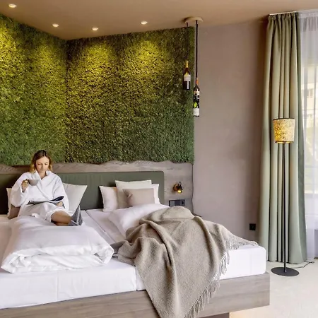 Hotel Schwarzwald Panorama 4*