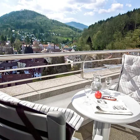 Schwarzwald Panorama 4*