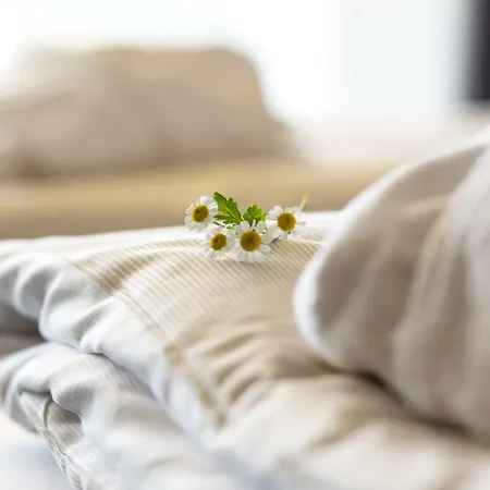 Schwarzwald Panorama Ξενοδοχείο 4*