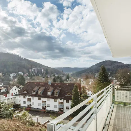 Schwarzwald Panorama 4*