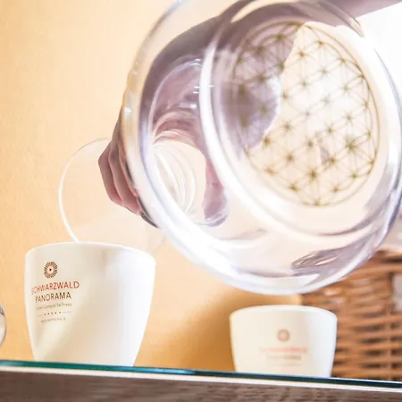 Schwarzwald Panorama Ξενοδοχείο 4*