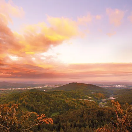 Schwarzwald Panorama