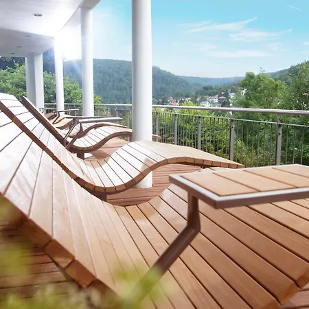 Otel Schwarzwald Panorama Bad Herrenalb