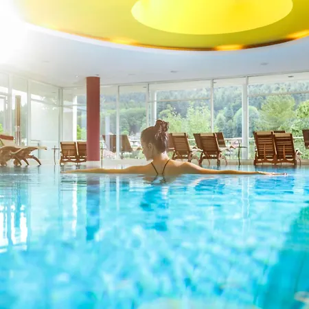 Ξενοδοχείο Schwarzwald Panorama 4*