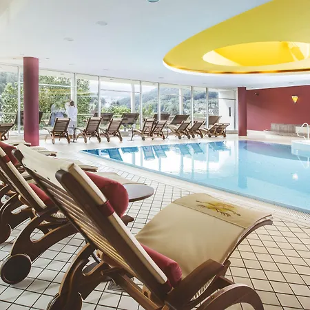 Schwarzwald Panorama Hotel 4*