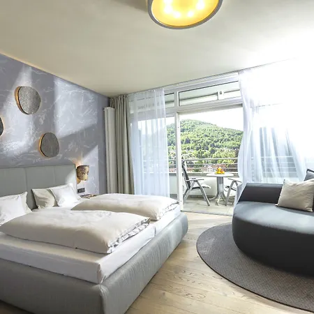 Schwarzwald Panorama 4*