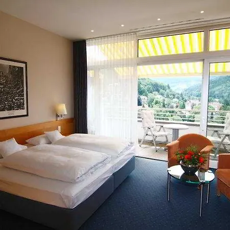 Schwarzwald Panorama Hotel 4*