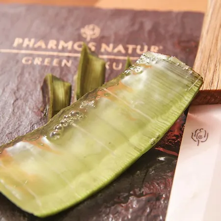 Ξενοδοχείο Schwarzwald Panorama Bad Herrenalb