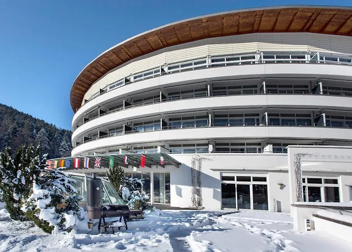 Schwarzwald Panorama 4*