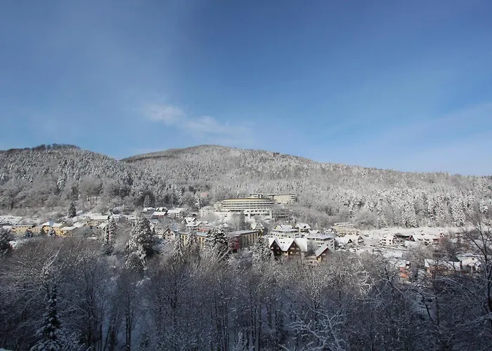 Hotel Schwarzwald Panorama Bad Herrenalb