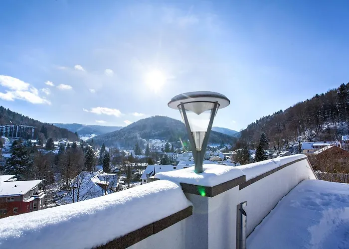 Hotel Schwarzwald Panorama 4*