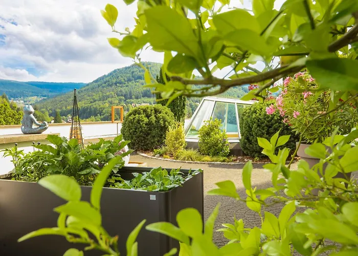 Schwarzwald Panorama Hotel 4*