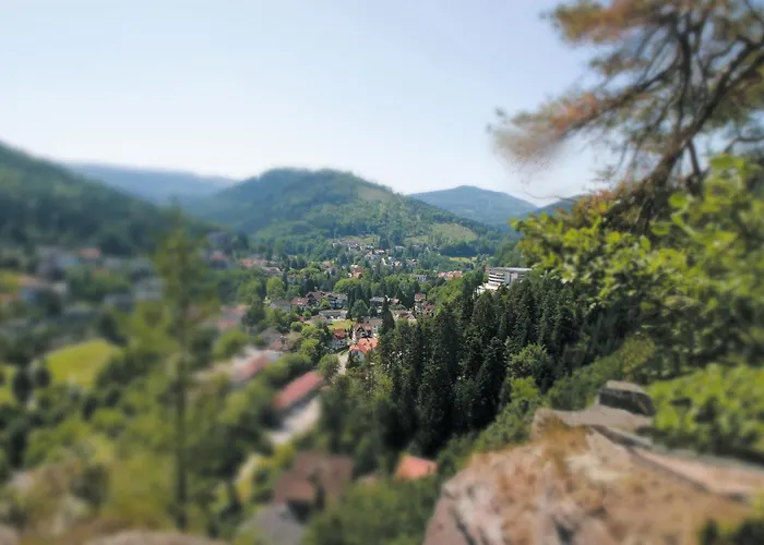 Schwarzwald Panorama 4* Bad Herrenalb