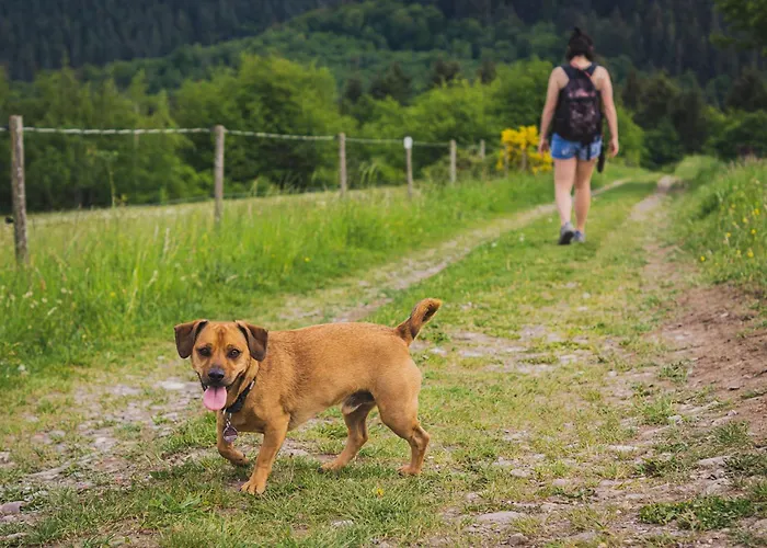 Schwarzwald Panorama 4* Bad Herrenalb