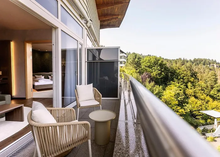 Schwarzwald Panorama 4*