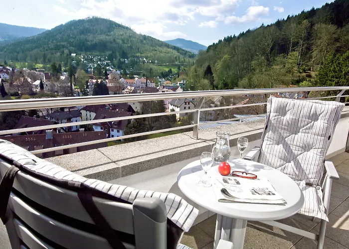 Schwarzwald Panorama 4*