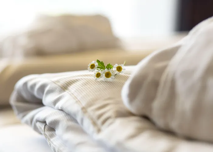 Schwarzwald Panorama Hotel 4*