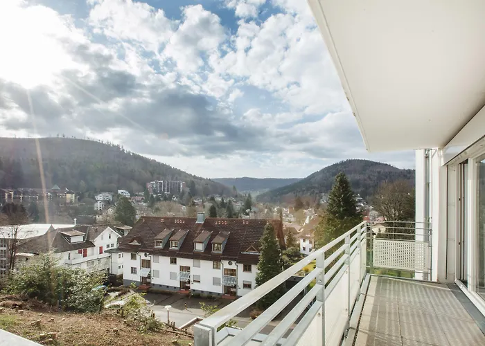 Schwarzwald Panorama 4*