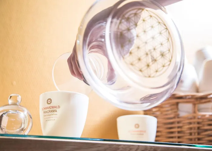 Schwarzwald Panorama Hotel 4*