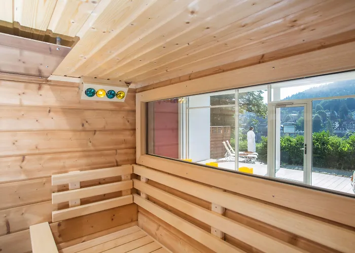 Schwarzwald Panorama Hotel 4*