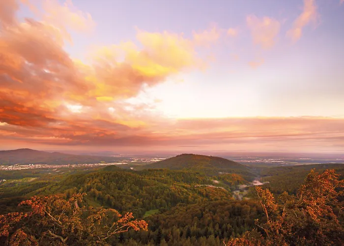 Schwarzwald Panorama