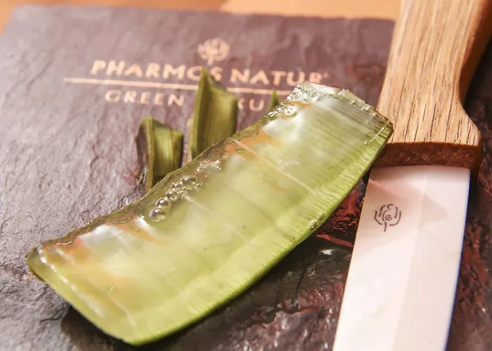 Hotel Schwarzwald Panorama Bad Herrenalb